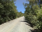 km 100 - Cunco-Villarrica