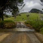 Port Jackson