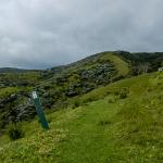 Coromandel Walkway