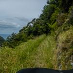 Coromandel Walkway
